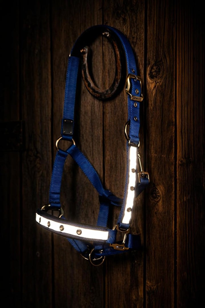 Reinecke Equestrian Premium Leuchthalfter Reflexhalfter Sicherheitshalfter Stallhalfter Weidehalfter