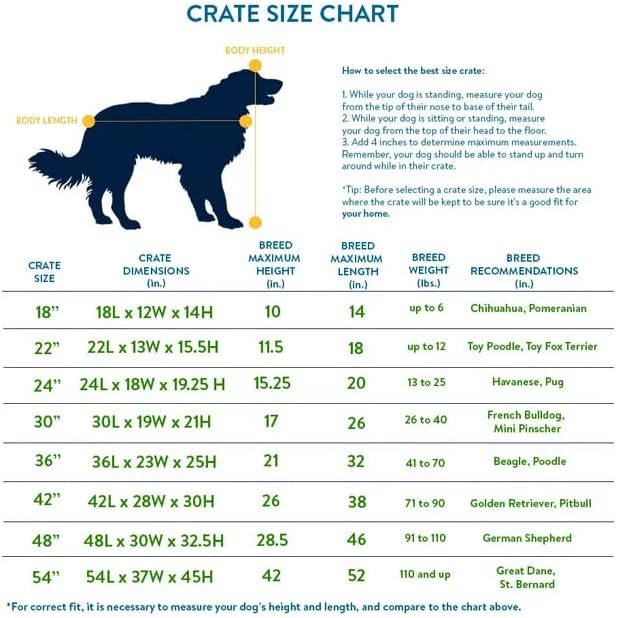 New World B24 Hundebox, mit Doppeltür, 61 cm, für kleine Hunderassen, mit auslaufsicherer Bodenwanne