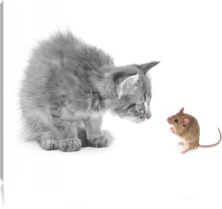 Katz und Maus schwarz/weiss Format: 100x70 auf Leinwand, XXL riesige Bilder fertig gerahmt mit Keilr