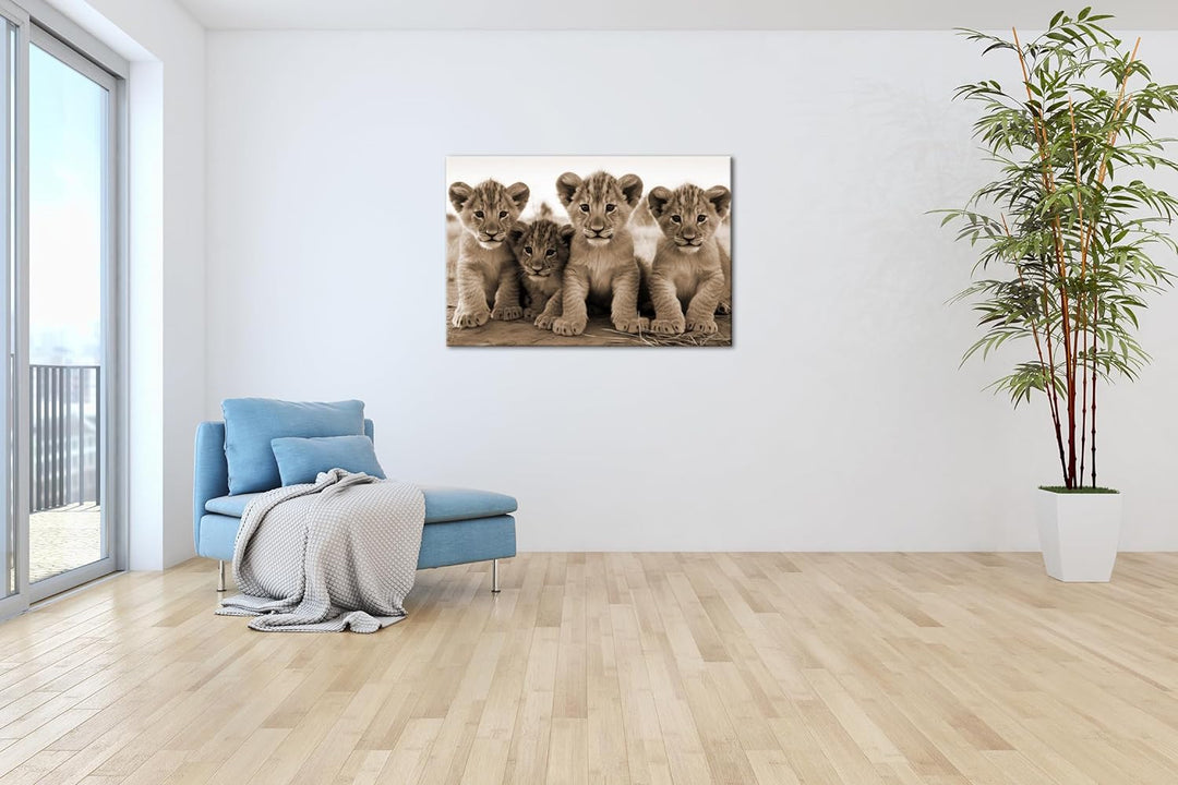 deyoli Löwenjungen in Afrika Format: 60x40 cm Effekt: Sepia als Leinwandbild, Motiv fertig gerahmt a