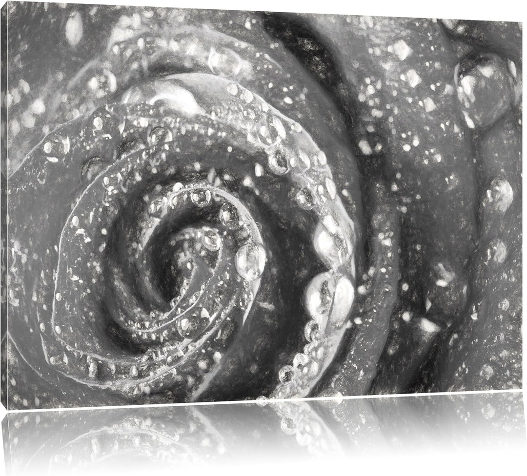 Pixxprint Rose mit Wassertropfen als Leinwandbild/Grösse: 100x70 cm/Wandbild/Kunstdruck/fertig bespa