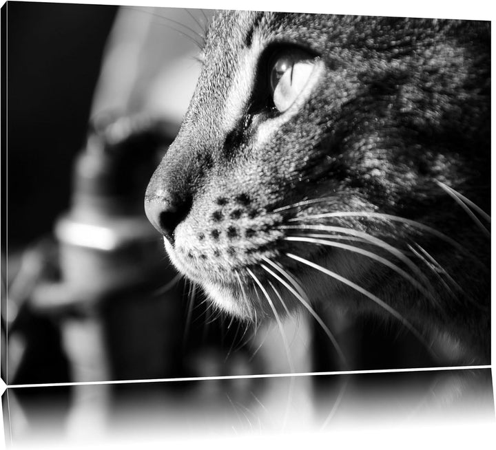 Dark anmutige Katze im Seitenprofilauf Leinwand, XXL riesige Bilder fertig gerahmt mit Keilrahmen, K