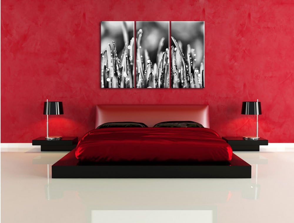 Pixxprint Monocrome, Grashalme mit Tauwasser 3-Teiler Leinwandbild 120x80 Bild auf Leinwand