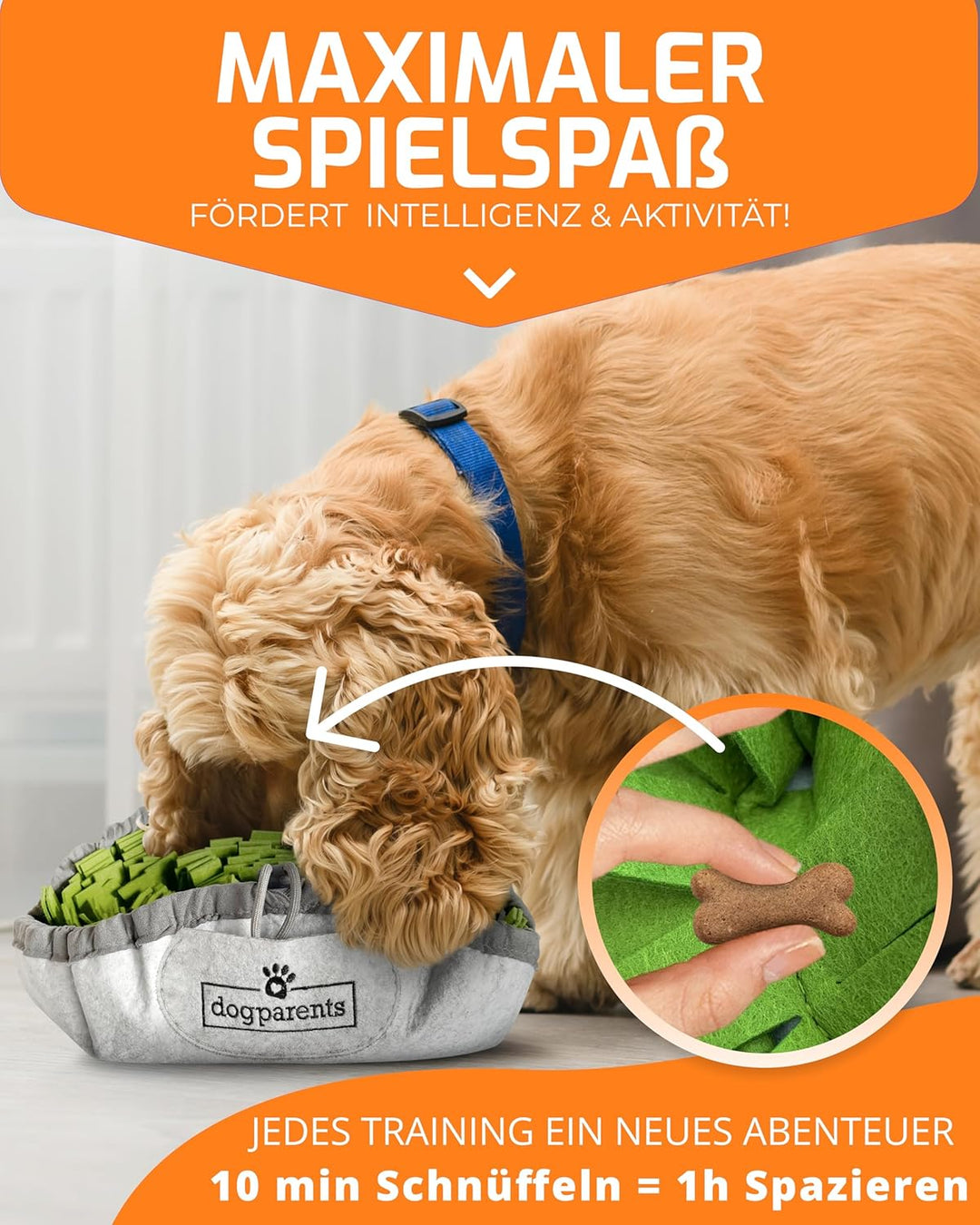 DOGPARENTS® Schnüffelteppich Hund klein & gross – Schnüffelmatte Hund ROBUSTER Hunde Schnüffelteppic