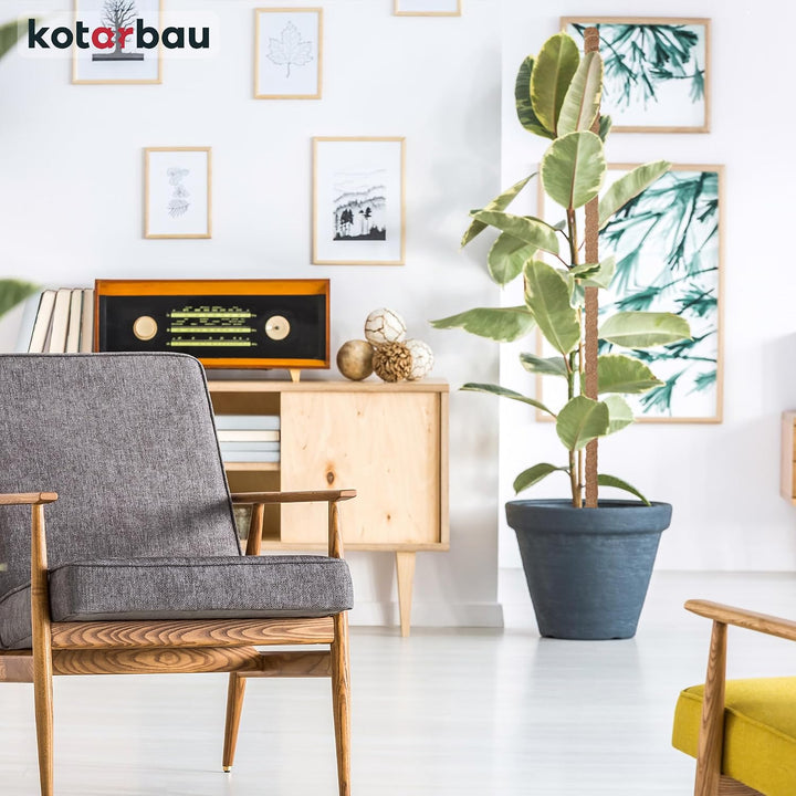 KOTARBAU® 4er Set Moosstab für Monstera Kokos Natural ⌀3,2 x 180cm Pflanzenstab Rankhilfe für Monste
