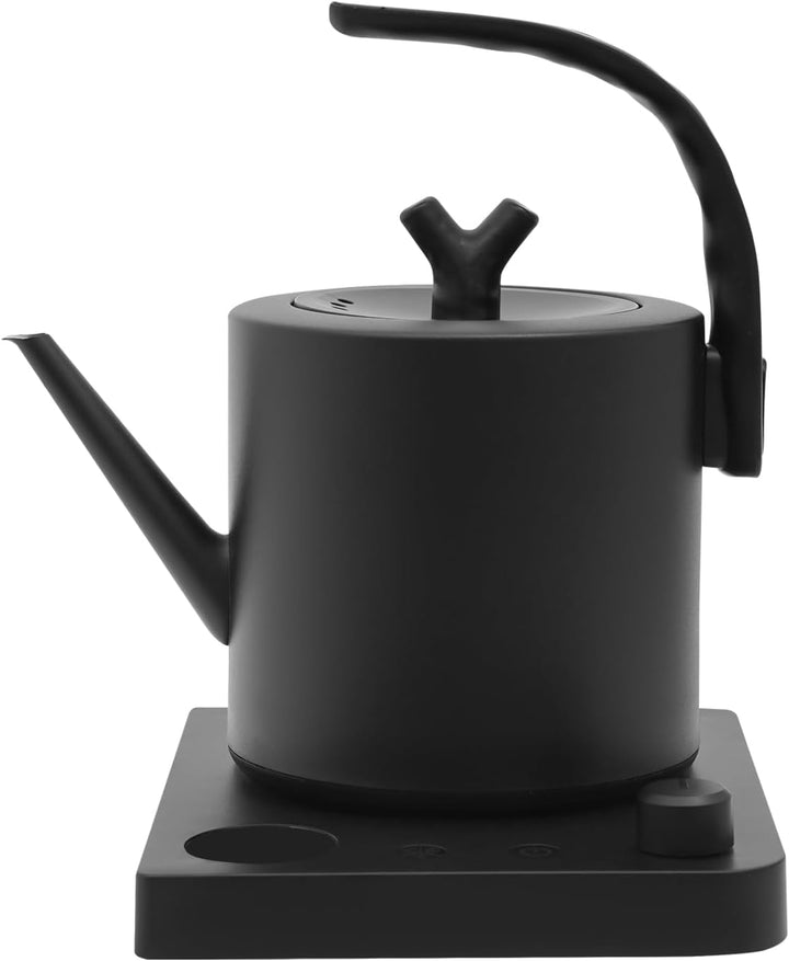 Wasserkocher mit Schwanenhals Edelstahl 1L, Teekocher Elektrisch, Wasserkocher mit Temperatureinstel