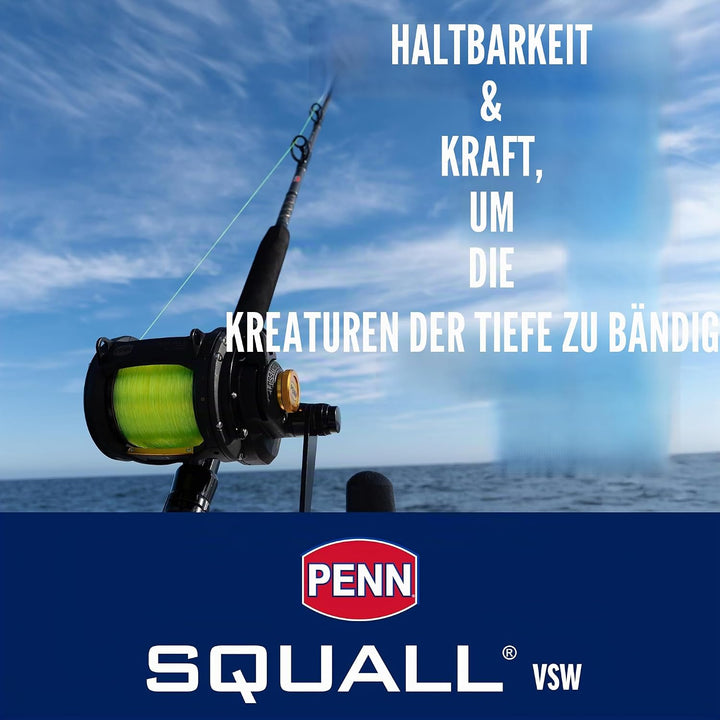 PENN Squall Lever Drag 2 Speed Multirolle – Salzwasser Boots- und Kajaksangeln 50| Right |2 Speed, 5