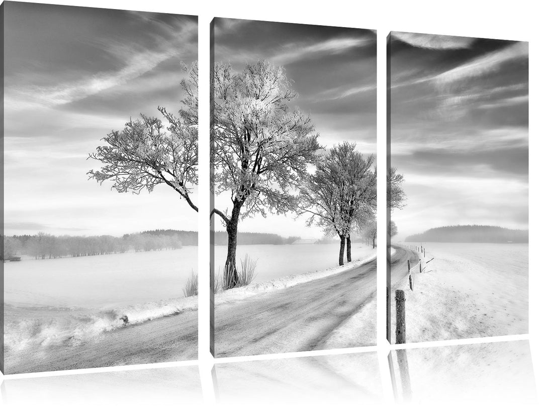 Pixxprint Baum im Schnee als Leinwandbild/Grösse: 3 Teilig (120x80) / Wandbild/Kunstdruck/fertig bes