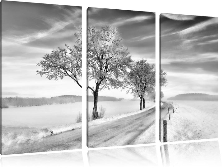Pixxprint Baum im Schnee als Leinwandbild/Grösse: 3 Teilig (120x80) / Wandbild/Kunstdruck/fertig bes