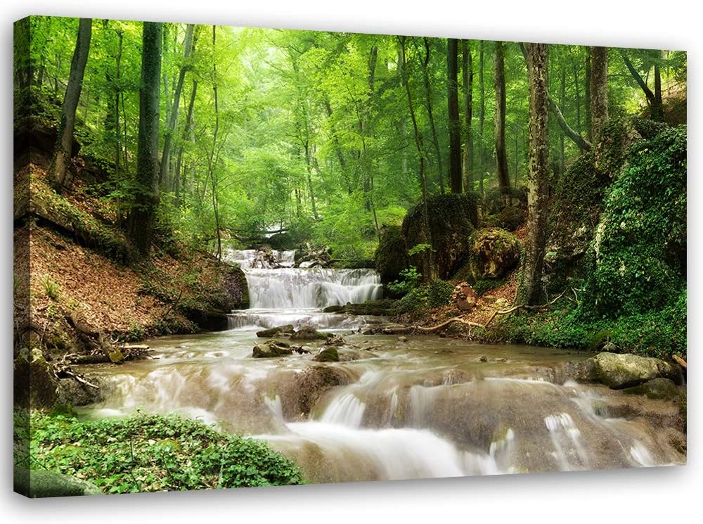 Feeby Bild auf Leinwand Bach Kunstdruck modern Wald Grün 80x60 cm
