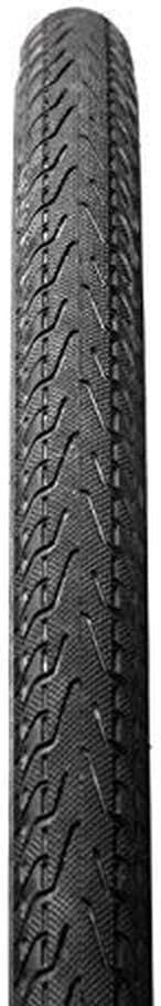 panaracer PASELA protite zusammenklappbar Tire 700cm x 28/28, 700cm x 28/28