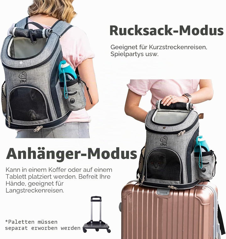 PETCUTE Hunderucksack Kleine Hunde,Atmungsaktiv Hundetragetasche mit Internem Sicherheitsgurt,Verste