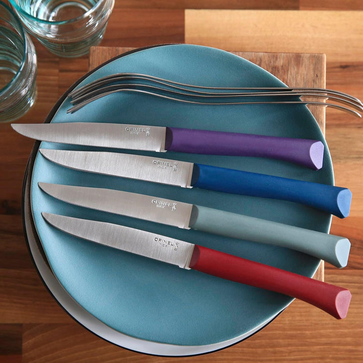 Opinel Bon Appetit+ Glam, 254501 Tafelmesser-Set, Stahl, Mehrfarbig