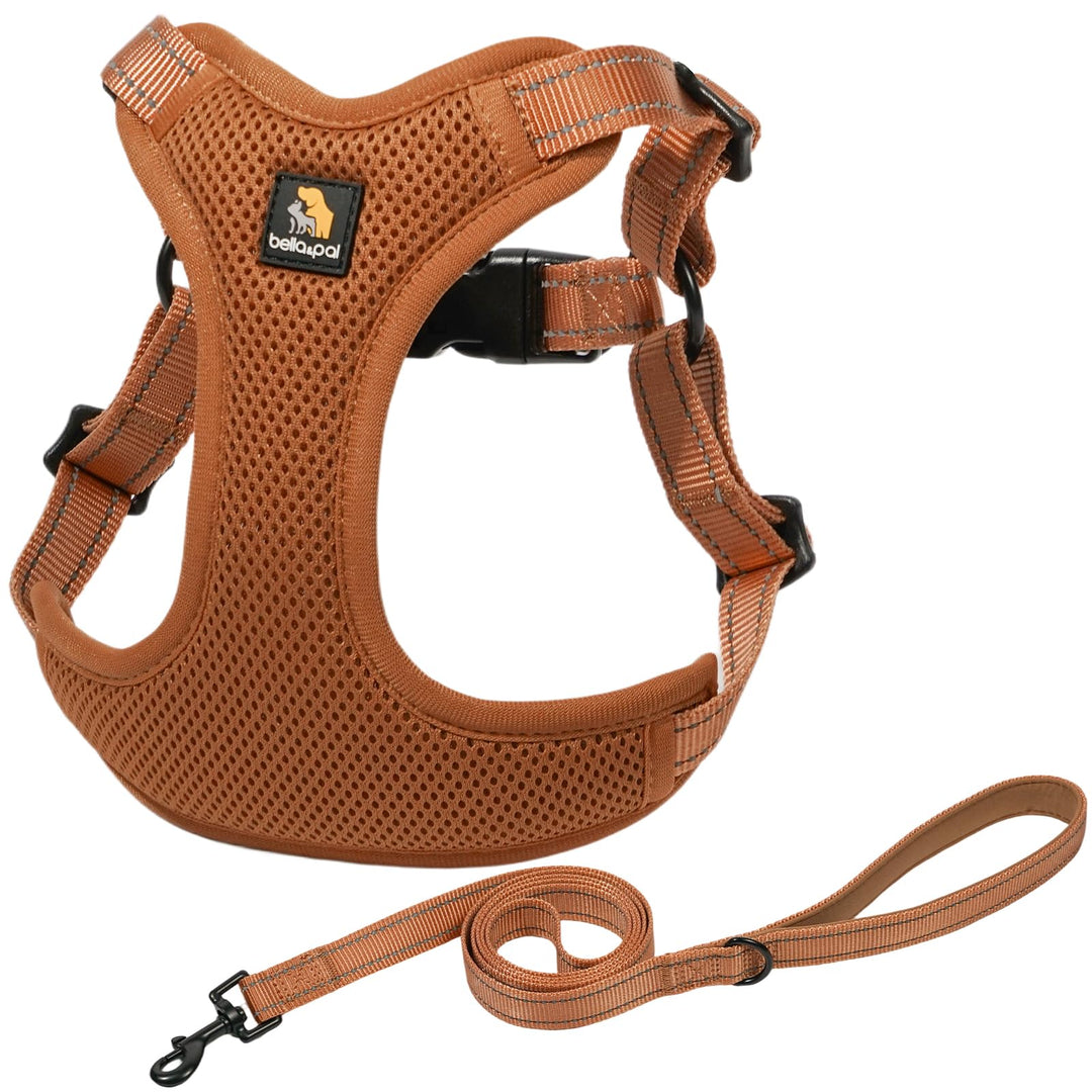 BELLA &amp; PAL Hundegeschirr und Leine Set, Step-in Design mit atmungsaktivem Air-Mesh, reflektierenden