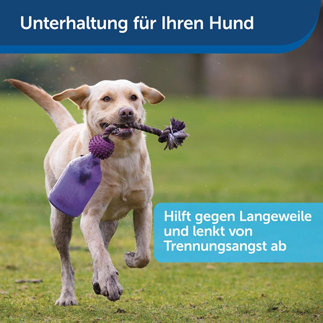 PetSafe Busy Buddy Tug-a-Jug Hundespielzeug, Snackspender mit Seil, Beschäftigung und Gewichtskontro