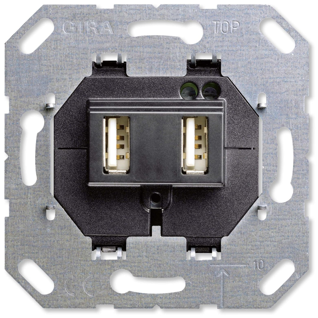 Gira 235900 USB Spannungsversversorgung 2-fach Einsatz Single, Single