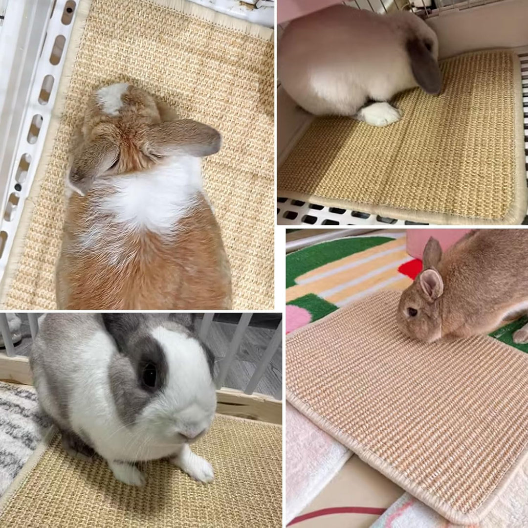 2 Kratzmatte für Kaninchen, natürliches Kaninchen Krallen und Zahnpflege, Kaninchen-Matten für Käfig