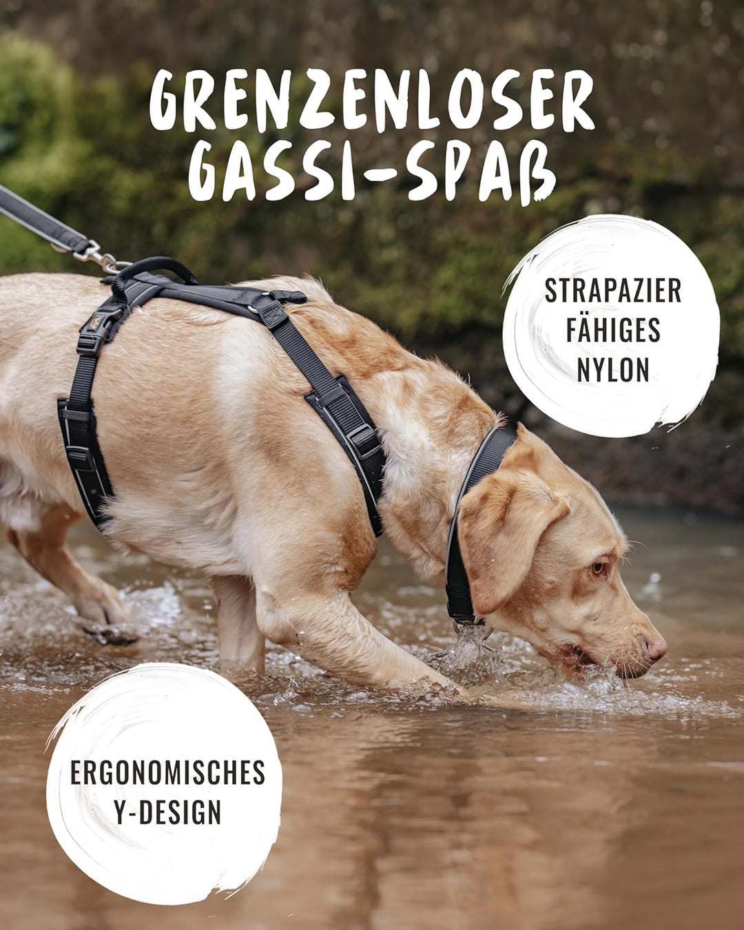 Rudelkönig Hundegeschirr Paola - Reflektierendes Brustgeschirr mit Haltegriff - Verstellbares Geschi