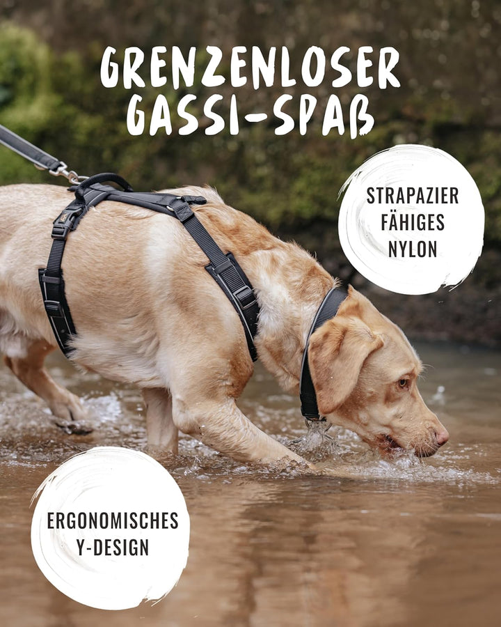 Rudelkönig Hundegeschirr Paola - Reflektierendes Brustgeschirr Hund gross mit Haltegriff - Geschirr