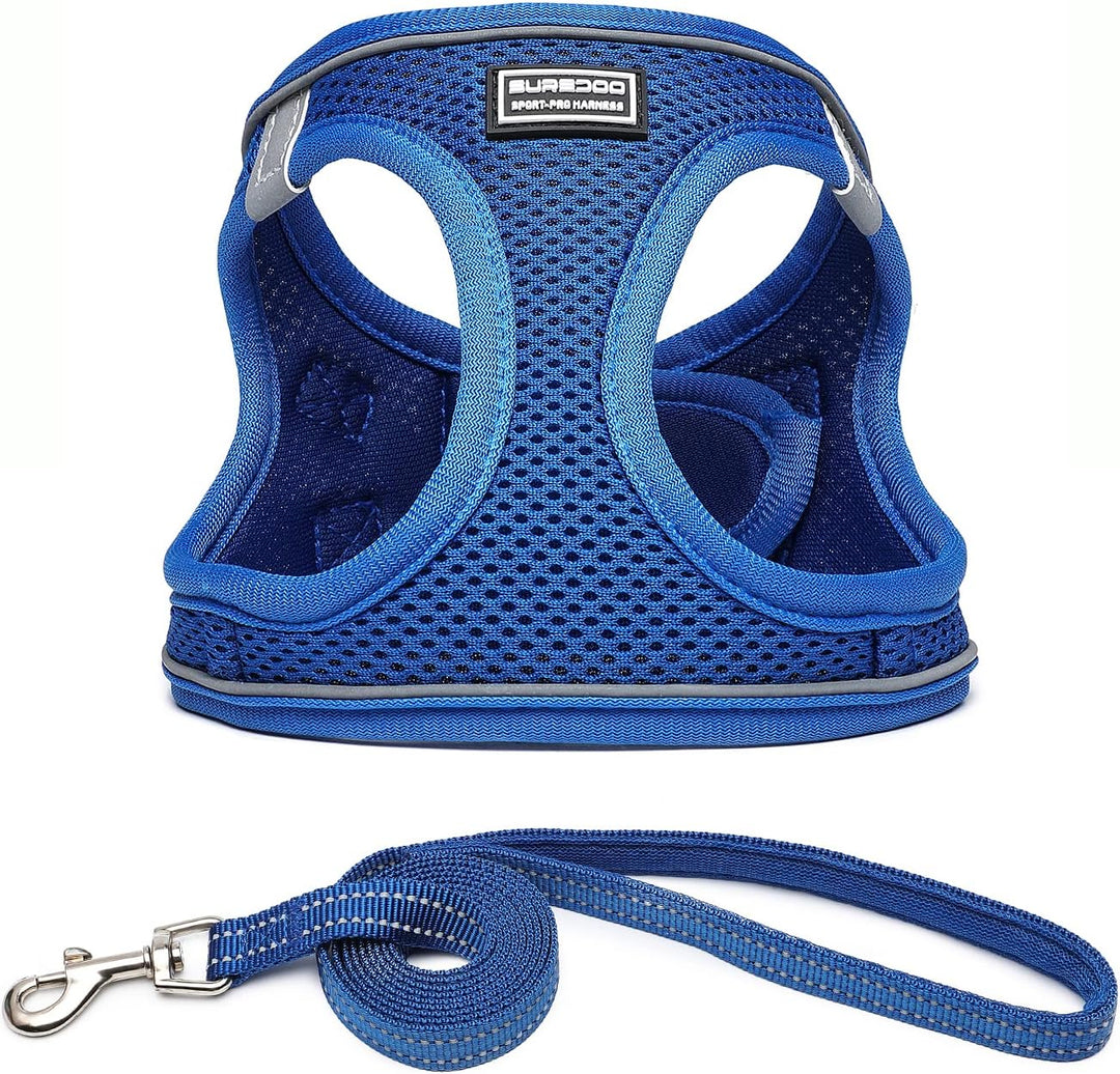 Suredoo Hundegeschirr mit Leine Anti Zug Geschirr Reflektierend Brustgeschirr für Kleine Hunde, Haus