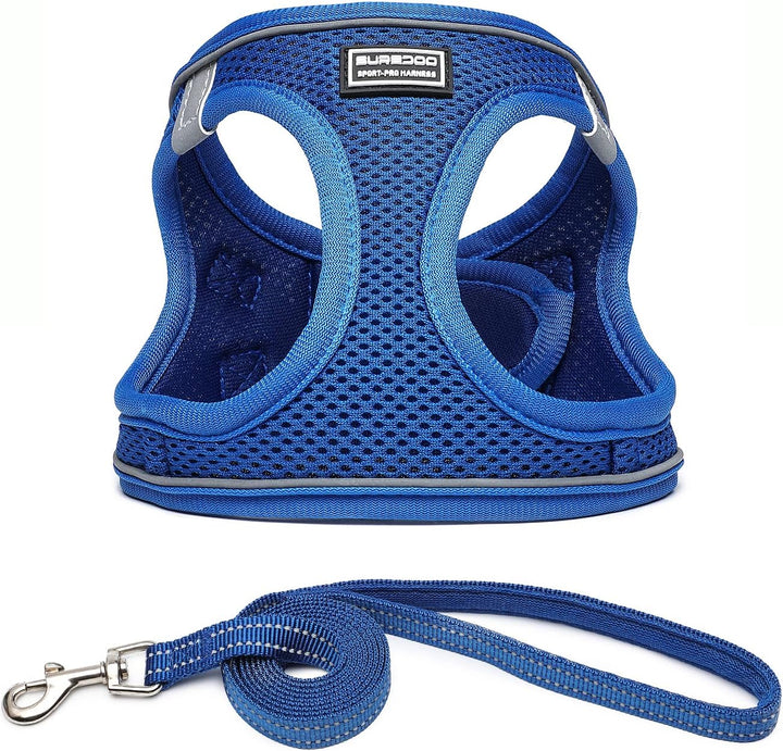 Suredoo Hundegeschirr mit Leine Anti Zug Geschirr Reflektierend Brustgeschirr für Kleine Hunde, Haus