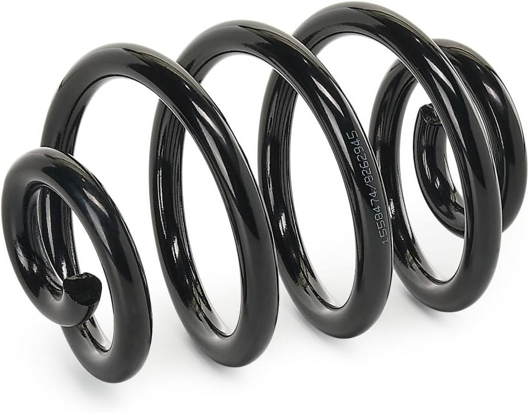 RIDEX FEDER FAHRWERKSFEDER HINTEN