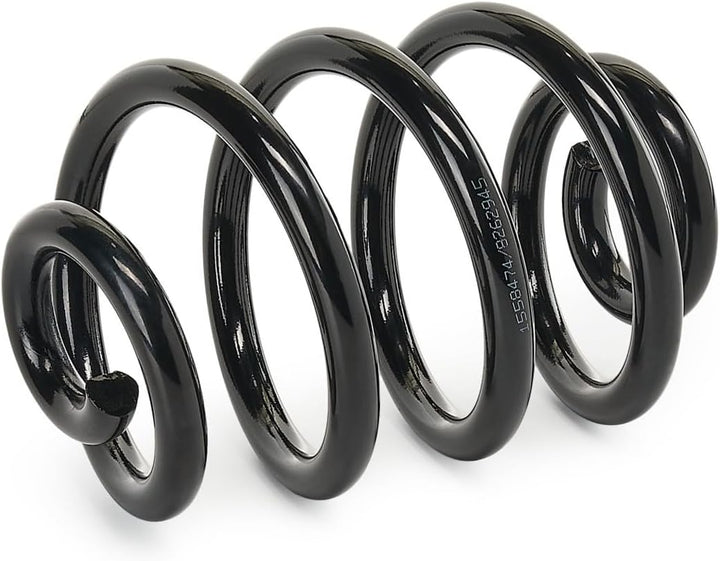 RIDEX FEDER FAHRWERKSFEDER HINTEN