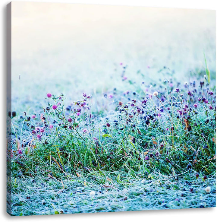 Pixxprint Lila Distel Feld im Retro Look als Leinwandbild | Grösse: 70x70 cm | Wandbild | Kunstdruck