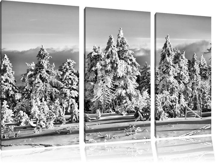 Pixxprint Winterwald als Leinwandbild/Grösse: 3 Teilig (120x80) / Wandbild/Kunstdruck/fertig bespann