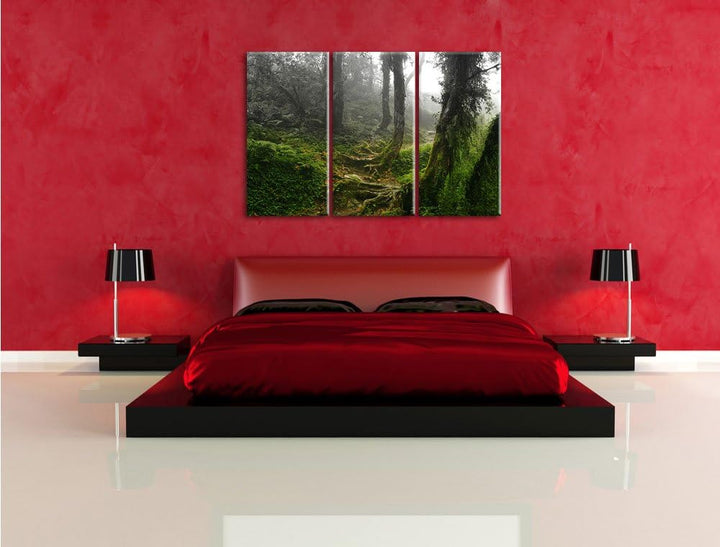 Pixxprint Unberührter Regenwald Schwarz/Weiss 3-Teiler Leinwandbild 120x80 Bild auf Leinwand
