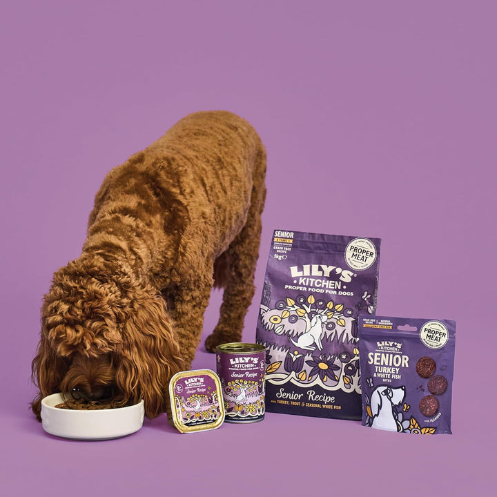 Lily‘s Kitchen Trocken Hundefutter für ältere Hunde (2.5kg) Truthahn, Forelle, Weissfisch der Saison