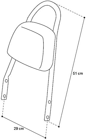 Sissy Bar abnehmbar Craftride für Harley Davidson Sportster 04-20