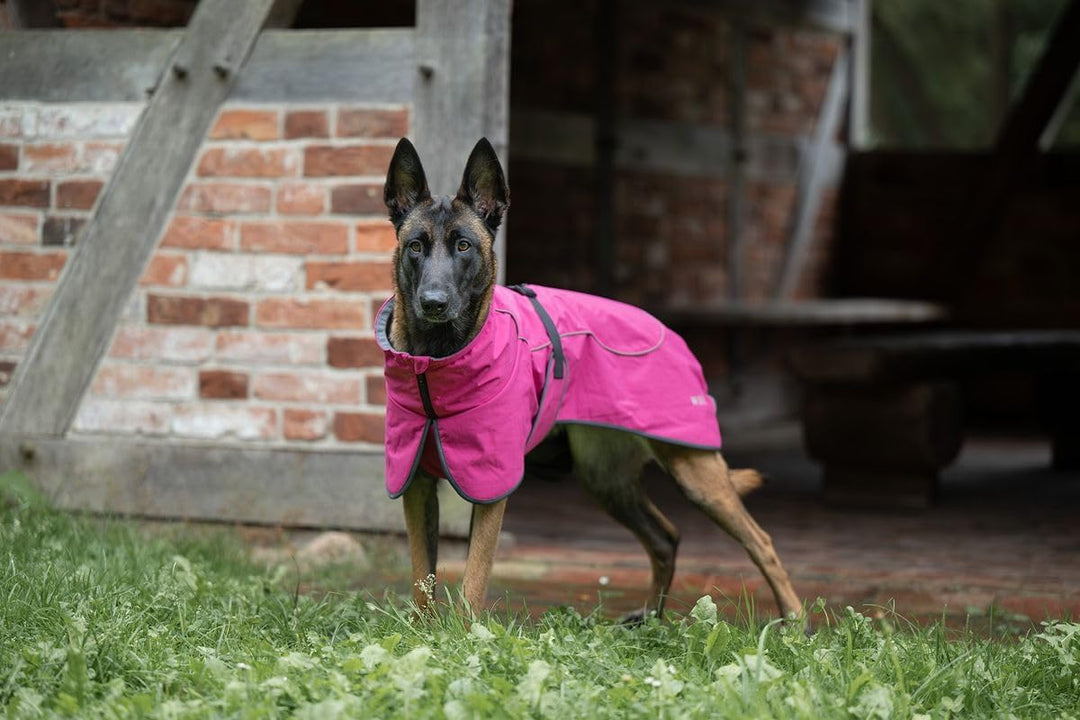 Wolters Hundejacke Cape Drizzle | Ganzjahresjacke für Hunde in der Farbe Magenta | Grösse 38 (Rücken