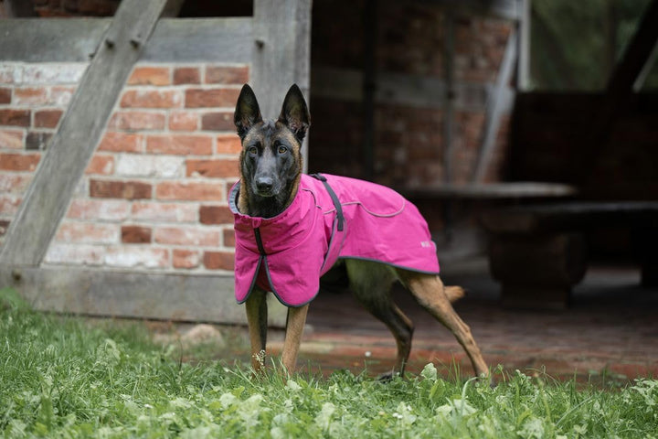 Wolters Hundejacke Cape Drizzle | Ganzjahresjacke für Hunde in der Farbe Magenta | Grösse 38 (Rücken