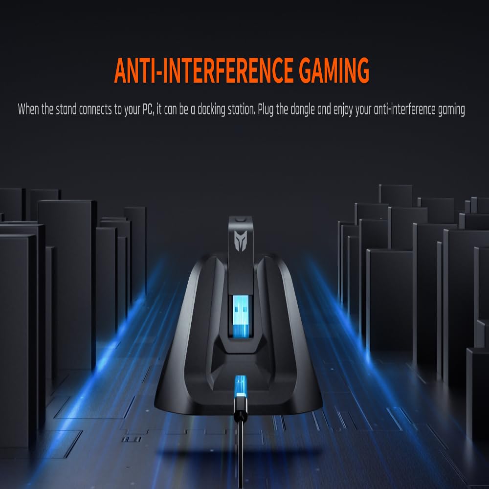BIGBIG WON Wireless Controller Gale PC Controller Motion Zieling, Hall Trigger, 4 Benutzerdefinierte