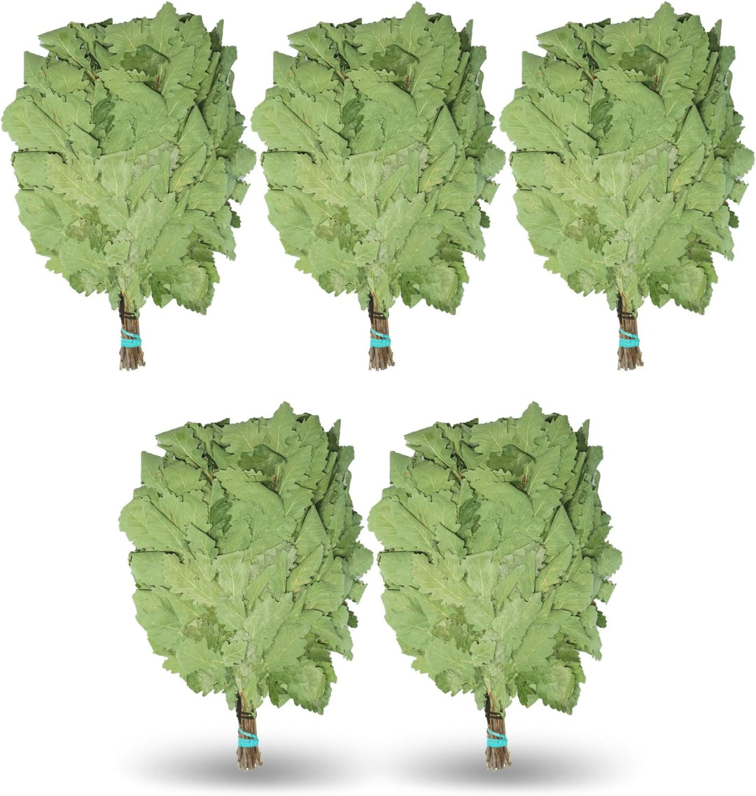 5St.Кaukasischer Eichenbesen Ausgewählt für Banja,| Venik|Wenik|Eichenreizig|Веник, Saunaquaste gesa