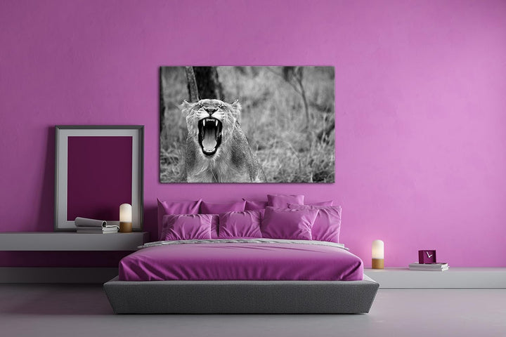 deyoli brüllende Löwin Effekt: Schwarz/Weiss Format: 80x60 als Leinwandbild, Motiv fertig gerahmt au