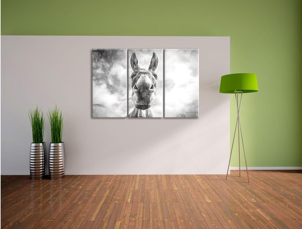 Pixxprint Lustiger Esel Kunst als Leinwandbild | Grösse: 3 Teilig (120x80) | Wandbild| Kunstdruck |