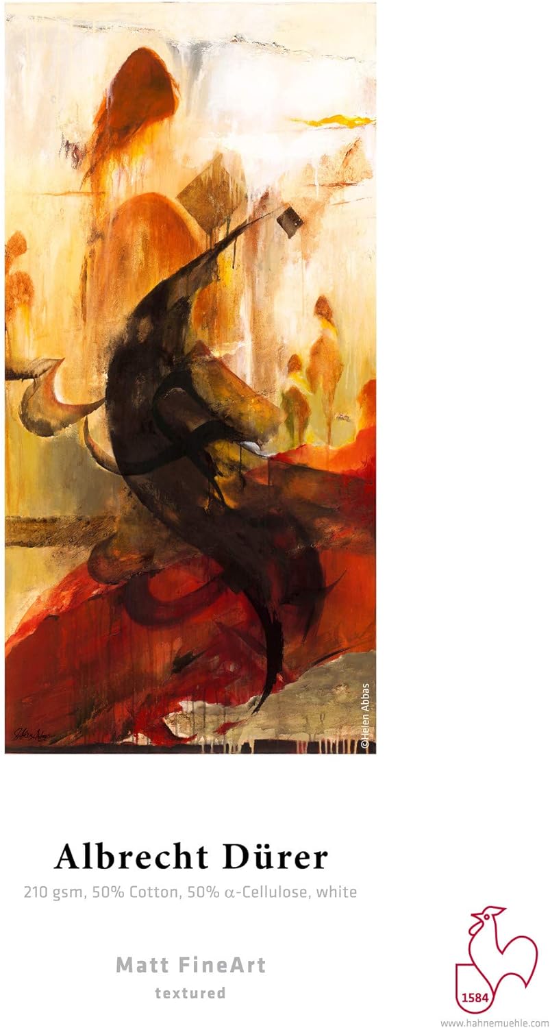Hahnemühle 10641631 Digital FineArt Albrecht Dürer Papier,210 g/m², DIN A4, 210 x 297 mm, weiss, 210