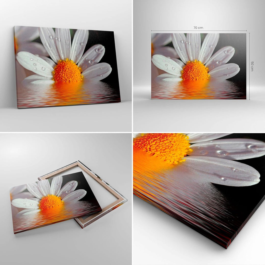 Bilder auf Leinwand Kraut Kamille Blume Wasser Leinwandbild 70x50cm Wandbilder Dekoration Wohnzimmer