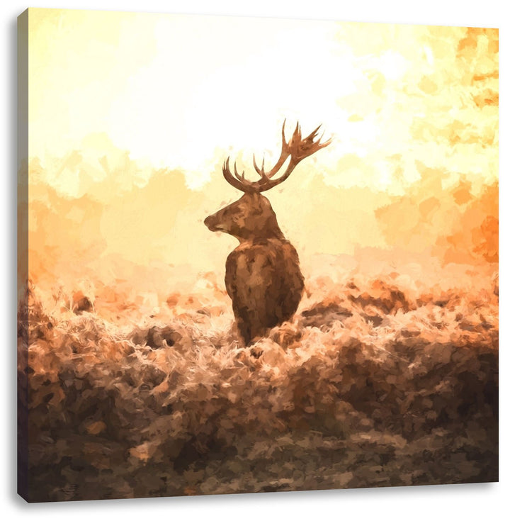 Pixxprint Stolzer Hirsch auf weitem Feld, Format: 70x70 auf Leinwand, 70x70