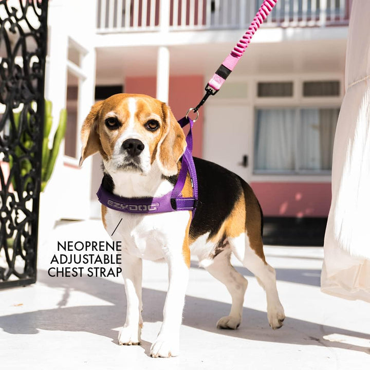 EzyDog 5708214206069 Quick Fit Geschirr Blaze, L, orange Orange L, Orange L