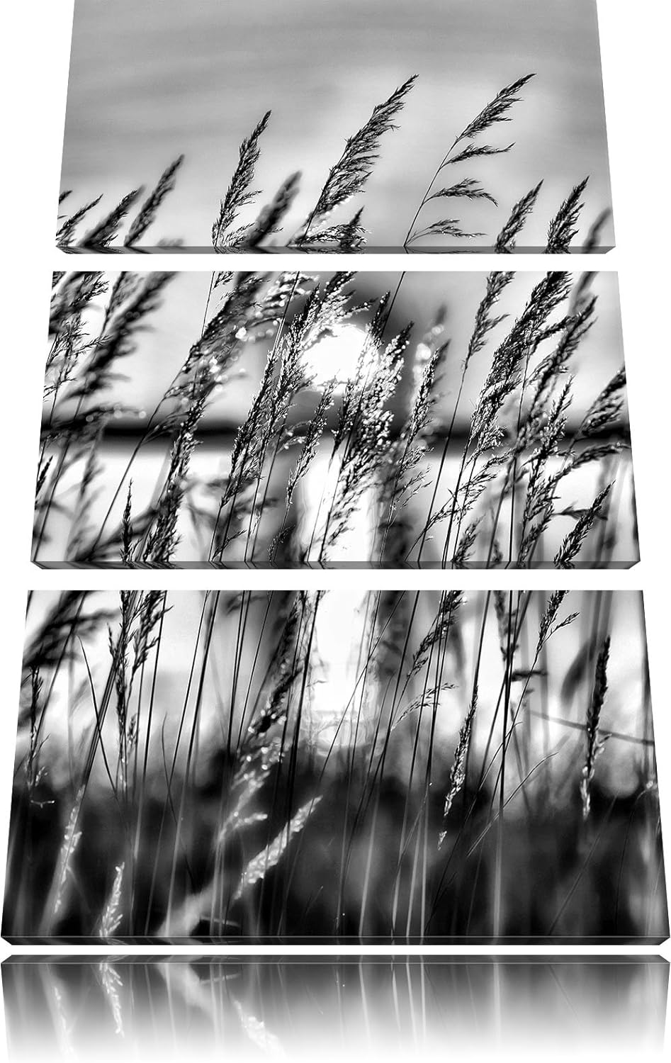 Pixxprint Sonne zwischen Gräsern als Leinwandbild/Grösse: 3 Teilig (120x80) cm/Wandbild/Kunstdruck/f