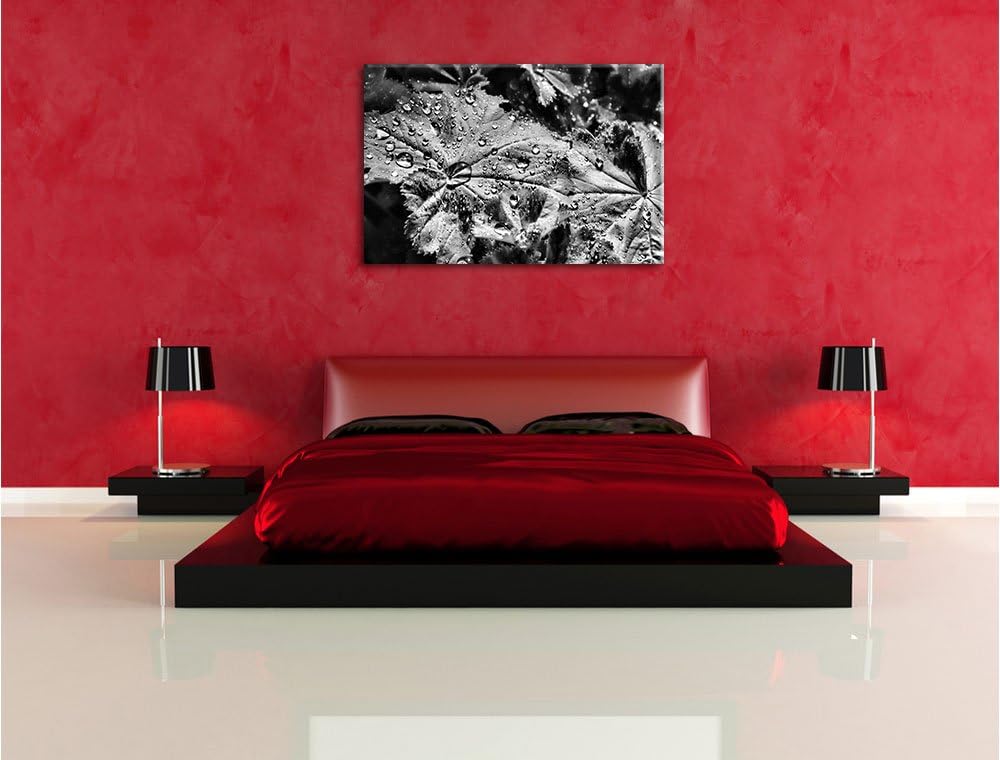 Pixxprint kleine Tropfen auf Blatt als Leinwandbild/Grösse: 100x70 / Wandbild/Kunstdruck/fertig besp