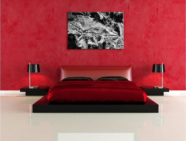 Pixxprint kleine Tropfen auf Blatt als Leinwandbild/Grösse: 100x70 / Wandbild/Kunstdruck/fertig besp