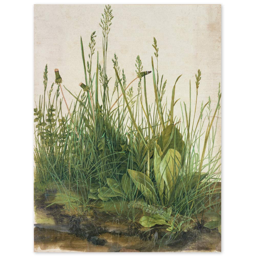 JUNIWORDS Poster, Albrecht Dürer, Das grosse Rasenstück, 60 x 78,5 cm, 60 x 78,5 cm