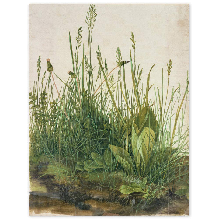JUNIWORDS Poster, Albrecht Dürer, Das grosse Rasenstück, 60 x 78,5 cm, 60 x 78,5 cm