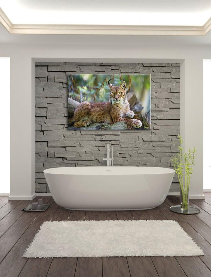 Pixxprint aufmerksamer Luchs auf Leinwand, XXL riesige Bilder fertig gerahmt mit Keilrahmen, Kunstdr