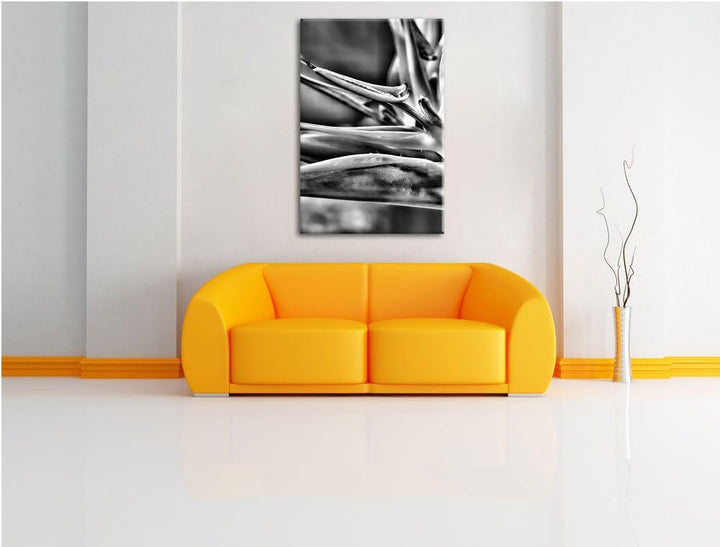 Pixxprint Monocrome, Tropische Blume, Format: 100x70 auf Leinwand, riesige Bilder fertig gerahmt mit