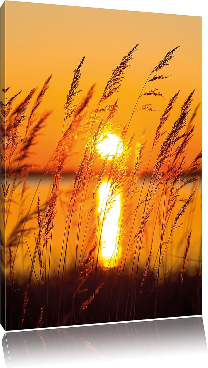 Sonne zwischen Gräsern, Format: 100x70 auf Leinwand, XXL riesige Bilder fertig gerahmt mit Keilrahme